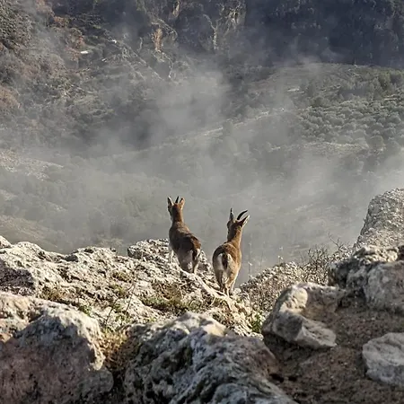 Kwatera prywatna Casa Frasquita